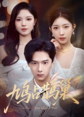 鸠占鹊巢&顶流夫人的致命陷阱（70集）好看短剧分享
