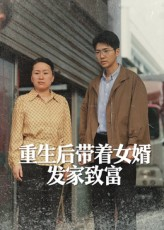 重生后带着女婿发家致富（41集）零花钱看整部剧