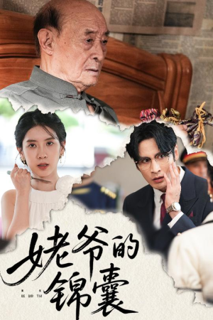 姥爷的锦囊（63集）不用花钱看全剧
