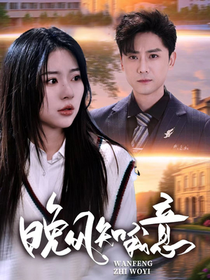 晚风知我意（50集）独家短剧免费看