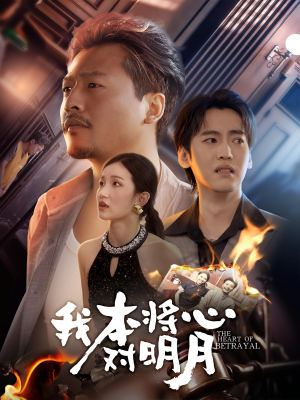 我本将心对明月（62集）最新短剧抢先看
