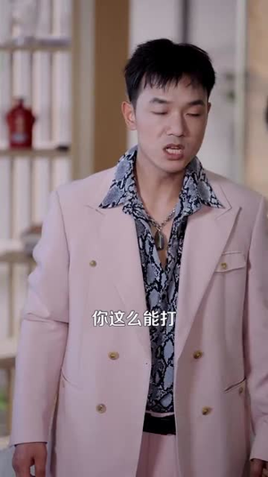 都市一品傻婿 (96集)大结局