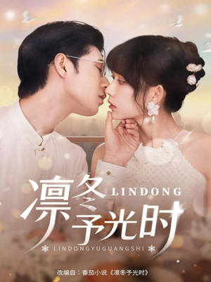 凛冬予光时（60集）热播短剧追不停
