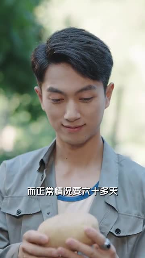重生70开局就找漂亮的她 (83集)全部免费看全集