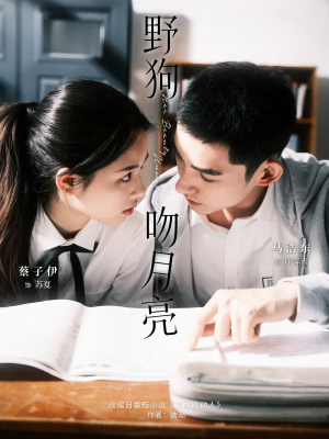 野狗吻月亮（68集）短剧抢先看全集
