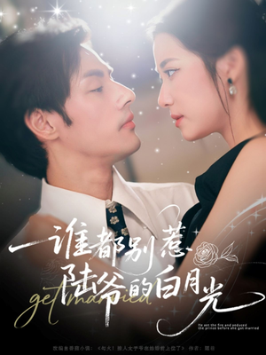 谁都别惹陆爷的白月光（79集）追短剧看全集