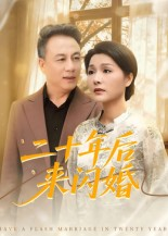 二十年后来闪婚（60集）短剧看全集