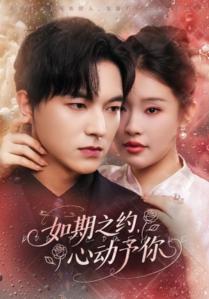 如期之约心动予你(82集) 如期之约心动予你(82集)真的太精彩了