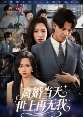 离婚当天世上再无我（60集）在线看