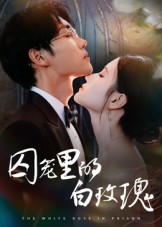 囚笼里的白玫瑰（59集）全集免费看短剧