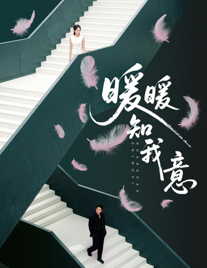 暖暖知我意（61集）80到100集