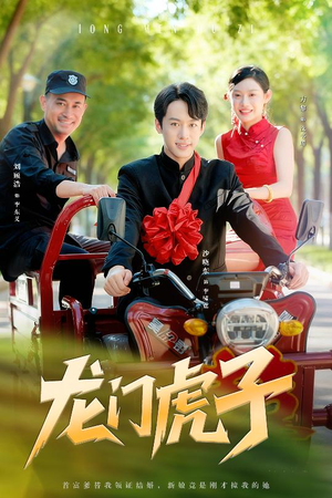 龙门虎子（72集）好看又上头短剧