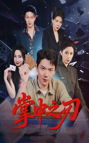 掌中之刃（57集）好看的短剧电影