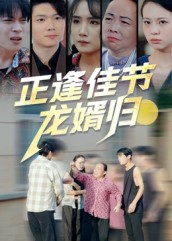 正逢佳节龙婿归（42集）全集完整版