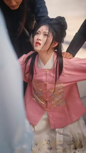 双嫁（60集）观看软件