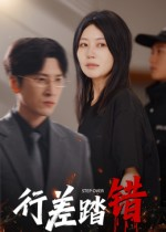 行差踏错（61集）全季一次看完