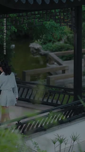 暴力玫瑰在线打工（73集）精彩的网络短剧