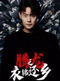 腾龙之衣锦还乡（30集）全集我都看完了