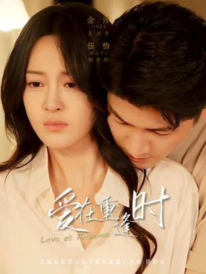 爱在重逢时（65集）追短剧看全集