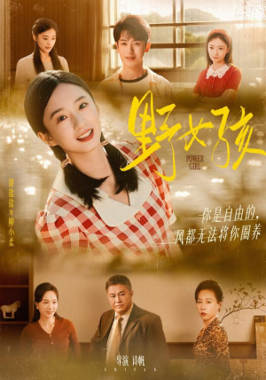 野女孩（91集）短剧后续更精彩