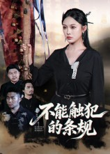 不能触犯的条规（50集）在线看免费版