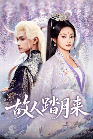 故人踏月来（60集）精彩短剧分享