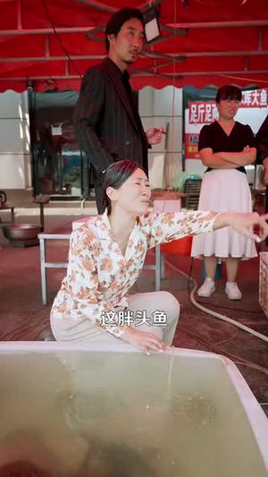 超级机遇系统（86集）每日短剧追不停