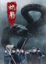 蛇影(25集) 蛇影(25集)短剧热门合集