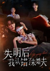 失明后我认错了未婚夫（34集）最热门短剧来了