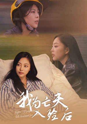 我为亡夫入殓后（45集）经典老剧免费看