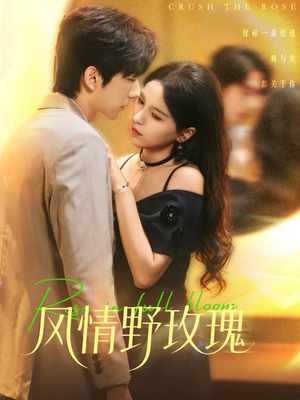 揉碎玫瑰（70集）热门短剧抢先