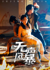 无声风暴(33集) 无声风暴(33集)免费看