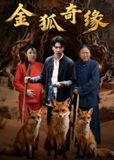 金狐奇缘(42集) 金狐奇缘(42集)大结局完美收官