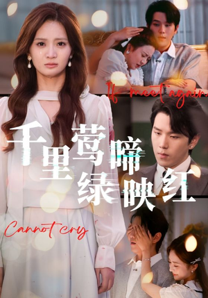 千里莺啼绿映红(63集) 千里莺啼绿映红(63集)看过的人都说好