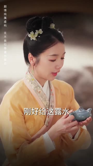 雁字回时戍角起(49集) 雁字回时戍角起(49集)评价怎么样