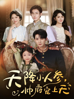 天降小人参，帅府宠上天（83集）免费短剧推荐