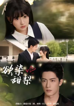 欲染甜梨（63集）一共多少集