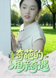 奇葩的相亲奇遇（17集）高清无码免费看