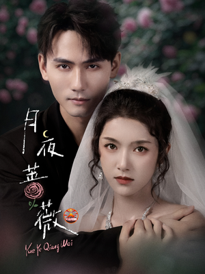 月夜蔷薇（72集）精彩连连免费看