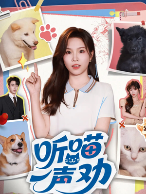 听喵一声劝(60集) 听喵一声劝(60集)完整版