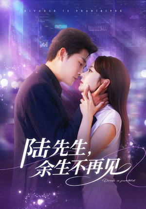 陆先生，余生不再见（88集）熬夜追短剧