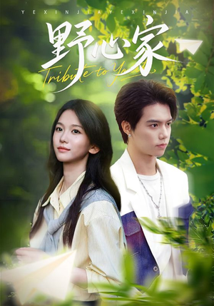 野心家（65集）小短剧推荐