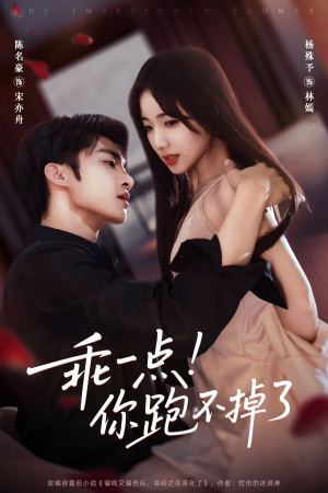 乖一点！你跑不掉了（80集）分享好看的短剧