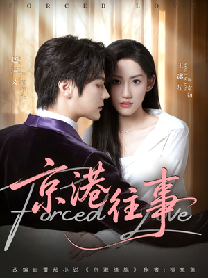 京港往事(80集) 京港往事(80集)大结局完美收官