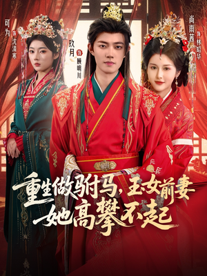 重生做驸马，玉女前妻她高攀不起（79集）热播短剧追不停