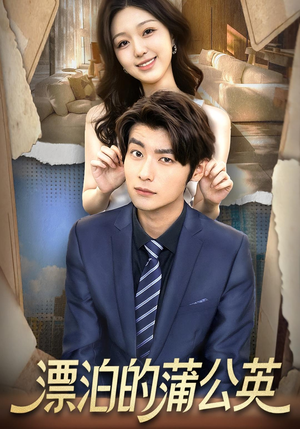 漂泊的蒲公英（60集）正能量短剧分享