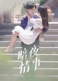 暗夜情事(100集) 暗夜情事(100集)最火短剧热播