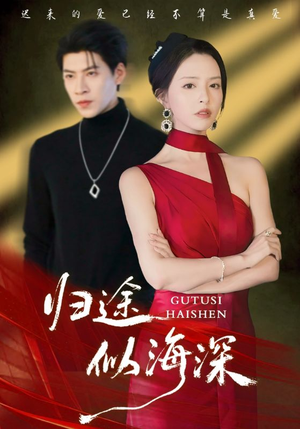 归途似海深（61集）热门短剧排行榜