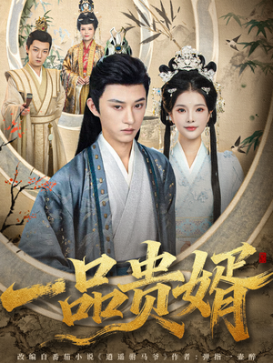 一品贵婿(80集) 一品贵婿(80集)短剧解说全集