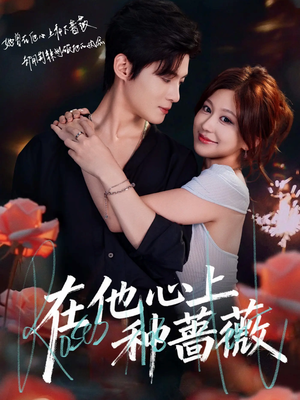 在他心上种蔷薇（81集）第二季